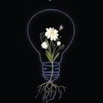 Discover the Transformative Power of Love in ‘Blossom: Unfolding the Heart’ – A Captivating Review