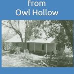 Discover the Heartfelt Journey in ‘A Country Boy from Owl Hollow’: A Captivating Review of Resilience and Rural Life