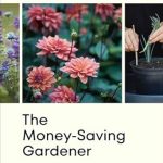 Discover How to Transform Your Outdoor Space: A Review of The Money-Saving Gardener: Create Your Dream Garden at a Fraction of the Cost – THE SUNDAY TIMES BESTSELLER