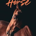 Discover the Heartfelt Journey in ‘My Dream Horse: A Memoir’ – A Must-Read for Horse Lovers!