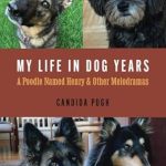 Heartfelt Reflections on Loyalty and Love: My Life in Dog Years: A Poodle Named Henry and Other Melodramas