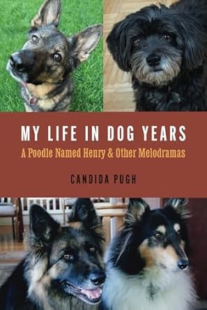 Heartfelt Reflections on Loyalty and Love: My Life in Dog Years: A Poodle Named Henry and Other Melodramas