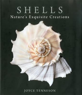 Discover the Beauty of Marine Life: A Captivating Review of ‘Shells: Nature’s Exquisite Creations’ from Amazon