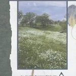 Transform Your Life with Insights from ‘Hope for Today’: A Comprehensive Review of This Inspirational Guide