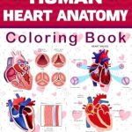 Unlock Your Understanding of Cardiac Structure: A Comprehensive Review of the Human Heart Anatomy Coloring Book – This Will Be Very Helpful For Those Who Want to Learn About Heart Anatomy Very Well Unlock Your Understanding of Cardiac Structure: A Comprehensive Review of the Human Heart Anatomy Coloring Book – This Will Be Very Helpful For Those Who Want to Learn About Heart Anatomy Very Well
