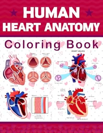 Unlock Your Understanding of Cardiac Structure: A Comprehensive Review of the Human Heart Anatomy Coloring Book – This Will Be Very Helpful For Those Who Want to Learn About Heart Anatomy Very Well