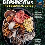 Uncover the Healing Power: A Comprehensive Review of Christopher Hobbs’s Medicinal Mushrooms: The Essential Guide – Boost Immunity, Improve Memory, Fight Cancer, Stop Infection, and Expand Your Consciousness
