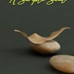 Discover the Secrets of Aerial Mastery: A Review of Airplane Photography: Capturing the Skies from Above