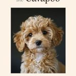 Discover the Adorable Charm of Cavapoos: A Must-Read Review of The Cavapoo: A Photography Coffee Table Book [Print Replica]