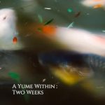 Unlocking Dreams: A Compelling Review of A Yume Within Two Weeks Unlocking Dreams: A Compelling Review of A Yume Within Two Weeks