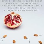 Transform Your Journey to Parenthood: A Comprehensive Review of ‘Stay Fertile: Simple Holistic Hacks To Boost Your Fertility, Overcome Challenges and Increase Your Chances Of A Healthy Conception And Pregnancy’