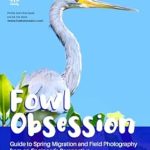 Discover the Beauty of Birdwatching: A Comprehensive Review of ‘Fowl Obsession: Guide to Spring Migration and Field Photography from an Engineer’s Perspective’
