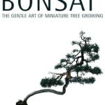 Discover the Secrets of Miniature Tree Mastery: A Comprehensive Review of Beginning Bonsai: The Gentle Art of Miniature Tree Growing Discover the Secrets of Miniature Tree Mastery: A Comprehensive Review of Beginning Bonsai: The Gentle Art of Miniature Tree Growing