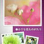 Discover the Magic of Nature in ‘Flowers Story: Small Flowers Furawa-zu Suto-ri-‘ – A Captivating Journey Through Japanese Flora