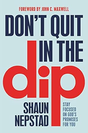 Transform Your Challenges into Triumphs: A Review of ‘Don’t Quit in the Dip: Stay Focused on God’s Promises for You’