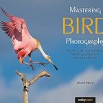 Discover the Secrets of Avian Photography: A Review of Mastering Bird Photography: The Art, Craft, and Technique of Photographing Birds and Their Behavior