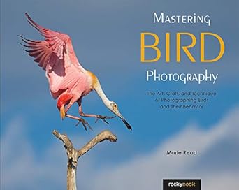 Discover the Secrets of Avian Photography: A Review of Mastering Bird Photography: The Art, Craft, and Technique of Photographing Birds and Their Behavior