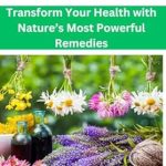 Discover the Secrets of Natural Healing: A Comprehensive Review of ‘Healing Herbs: Transform Your Health with Nature’s Most Powerful Remedies’