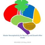 Discover the Secrets to Recovery: A Comprehensive Review of ‘Stroke of Luck: Master Neuroplasticity for Recovery and Growth After Stroke’ Discover the Secrets to Recovery: A Comprehensive Review of ‘Stroke of Luck: Master Neuroplasticity for Recovery and Growth After Stroke’