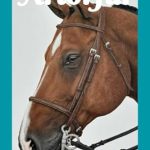 Unveiling Creativity: A Comprehensive Review of Artorful Magazine – Issue 03|2024 [Print Replica]