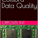 Transform Your Data Strategy: A Comprehensive Review of Mastering Collibra Data Quality Transform Your Data Strategy: A Comprehensive Review of Mastering Collibra Data Quality