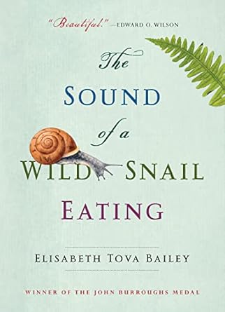 Discover the Captivating Journey in ‘The Sound of a Wild Snail Eating’ – A Deeply Moving Review