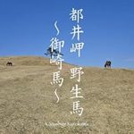 Discover the Beauty of Wild Horses: A Stunning Review of Toi Misaki Wild Horse Misaki Uma: A Photo Collection by Kurokawa Kazushige (Japanese Edition)