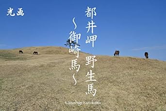 Discover the Beauty of Wild Horses: A Stunning Review of Toi Misaki Wild Horse Misaki Uma: A Photo Collection by Kurokawa Kazushige (Japanese Edition)