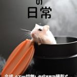 Discover the Heartwarming World of Hamsters: A Review of The Everyday Life of Hamsters: Diorama Photography Without AI Delivering Emotion and Comfort (Japanese Edition)