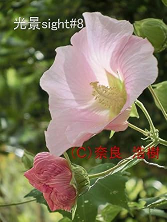 Must-Read Insights Revealed in Koukei Saito Hati (Japanese Edition) – A Comprehensive Review