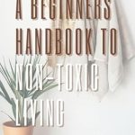 Discover the Secrets to a Healthier Lifestyle: A Comprehensive Review of The Beginner’s Guide to Non-Toxic Living: Making the Switch to Natural Home, Body, and Wellness Products from Amazon