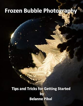Unlock the Magic of Winter: A Comprehensive Review of ‘Frozen Bubble Photography: Tips and Tricks for Getting Started’ for Aspiring Photographers