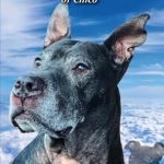 Discover the Inspiring Journey: An Unbreakable Spirit: The Legend And Legacy Of Chico – A Must-Read Review
