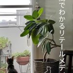 Unlock the Secrets of Retail Media: You Can Get What is Retail Media Within an Hour – A Comprehensive Guide to Catching the New Retail Business (Limo-Sera Books, Japanese Edition) Unlock the Secrets of Retail Media: You Can Get What is Retail Media Within an Hour – A Comprehensive Guide to Catching the New Retail Business (Limo-Sera Books, Japanese Edition)