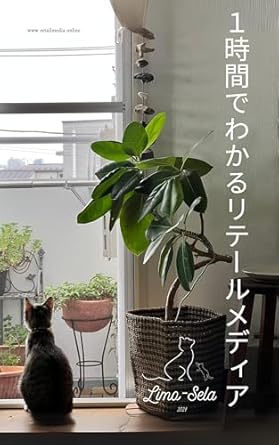Unlock the Secrets of Retail Media: You Can Get What is Retail Media Within an Hour – A Comprehensive Guide to Catching the New Retail Business (Limo-Sera Books, Japanese Edition)