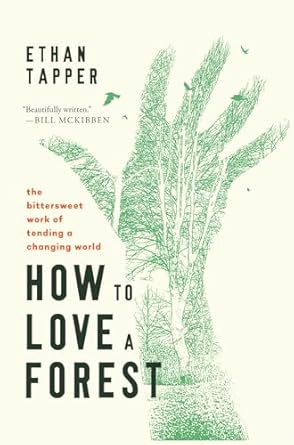 Discover the Magic of Nature: A Comprehensive Review of How to Love a Forest
