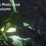 Discover the Visual Mastery of MTZZ Photo Book 2020 Autumn (Japanese Edition) – A Stunning Collection That Captivates!