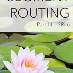 Unveiling the Future of Networking: A Comprehensive Review of Segment Routing Part III: SRv6