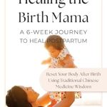Discover the Transformative Power of Healing the Birth Mama: A 6-Week Journey To Heal Postpartum – Reset Your Body After Birth Using Traditional Chinese Medicine Wisdom