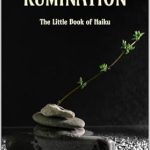 Discover Serenity in Poetry: A Thoughtful Review of ‘Rumination: The Little Book of Haiku’