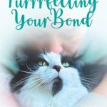 Discover the Secrets to a Fulfilling Feline Friendship: Purrrfecting Your Bond: A Practical & Spiritual Guide to Create a Lasting, Loving Relationship with Your Kitty