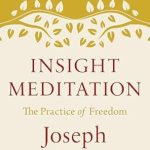 Transform Your Mind with This Powerful Guide: Insight Meditation: The Practice of Freedom (Shambhala Classics) Review Transform Your Mind with This Powerful Guide: Insight Meditation: The Practice of Freedom (Shambhala Classics) Review
