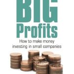 Unlock Hidden Wealth: A Comprehensive Review of ‘Small Companies, Big Profits: How to Make Money Investing in Small Companies’ Unlock Hidden Wealth: A Comprehensive Review of ‘Small Companies, Big Profits: How to Make Money Investing in Small Companies’