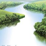 Discover the Transformative Power of Stillness: A Review of The Way of Effortless Mindfulness: A Revolutionary Guide for Living an Awakened Life Discover the Transformative Power of Stillness: A Review of The Way of Effortless Mindfulness: A Revolutionary Guide for Living an Awakened Life