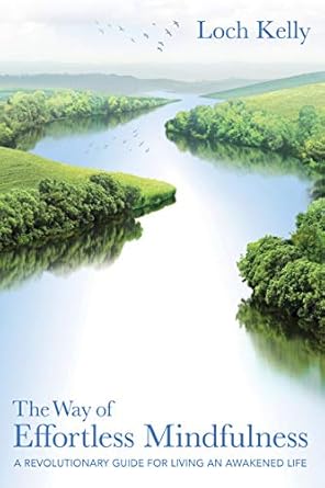 Discover the Transformative Power of Stillness: A Review of The Way of Effortless Mindfulness: A Revolutionary Guide for Living an Awakened Life