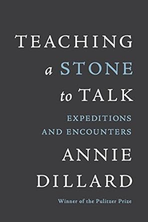 Discover Profound Insights in ‘Teaching a Stone to Talk: Expeditions and Encounters’ – A Captivating Review of the Revised Edition