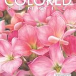Unveiling Creativity: A Comprehensive Review of COLORED PENCIL Magazine – Spring 2024