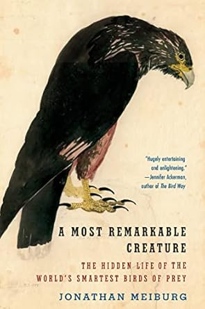 Discover the Fascinating Insights in ‘A Most Remarkable Creature: The Hidden Life of the World’s Smartest Birds of Prey’ – A Captivating Review