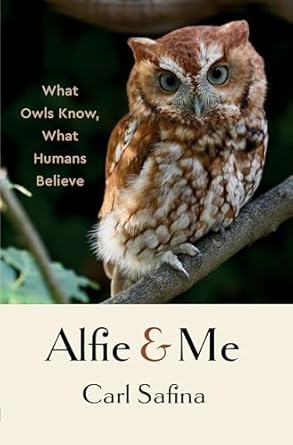 Discover the Enigmatic Wisdom of Owls: A Captivating Review of ‘Alfie and Me: What Owls Know, What Humans Believe’