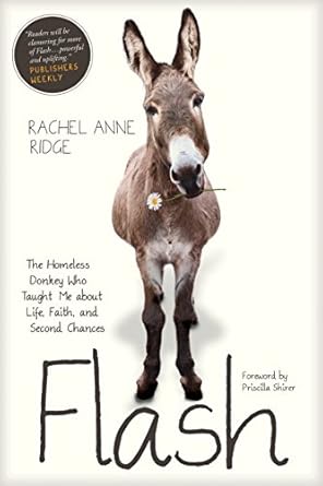Discover the Heartwarming Journey of Redemption in ‘Flash: The Homeless Donkey Who Taught Me about Life, Faith, and Second Chances (Flash the Donkey)’ – A Must-Read Review